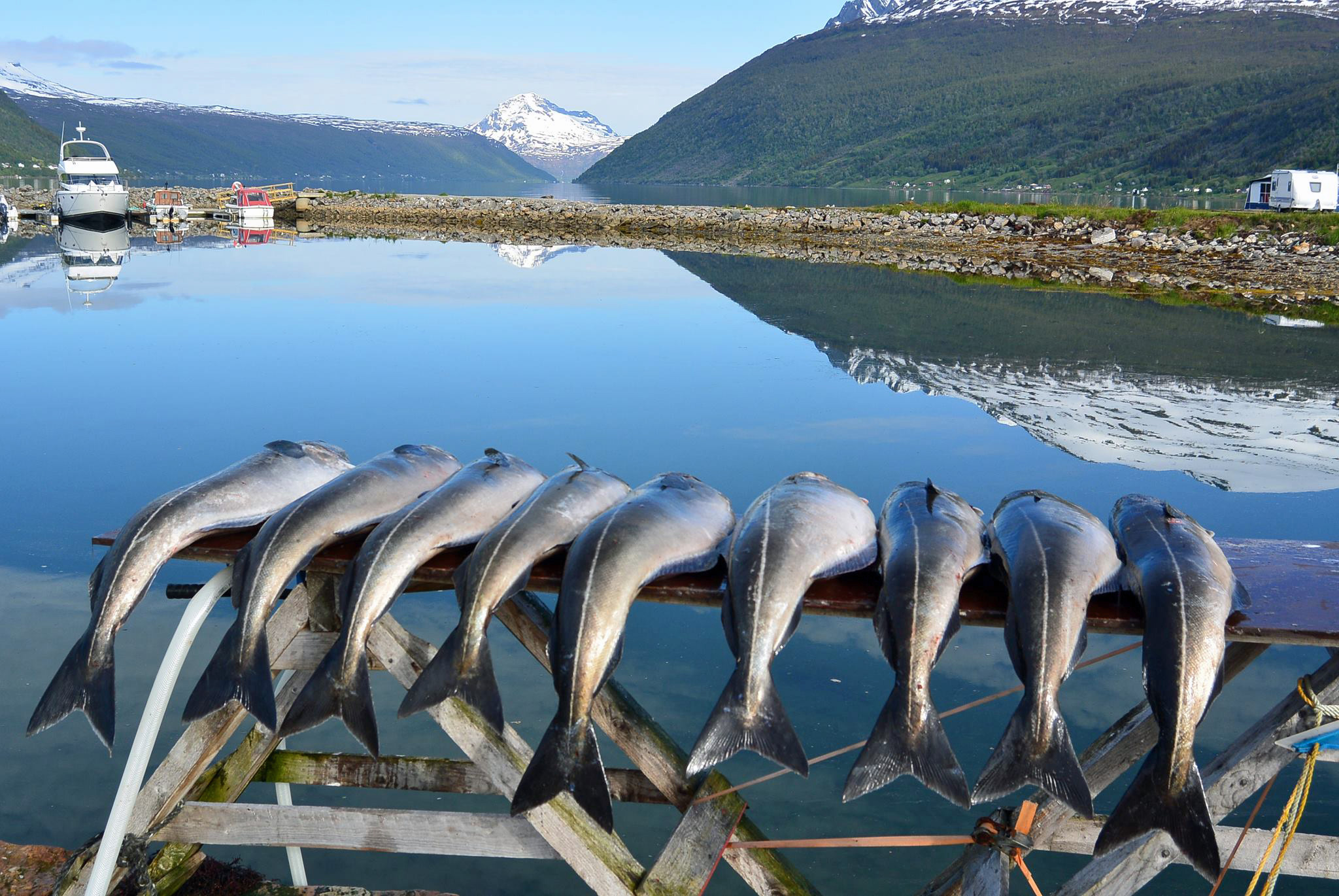 Lavangsfjorden